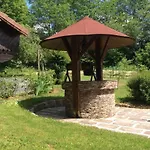 Du Cerf Dans Un Cadre De Verdure