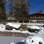 Du Cerf Dans Un Cadre De Verdure *