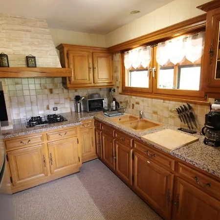 Du Cerf Dans Un Cadre De Verdure