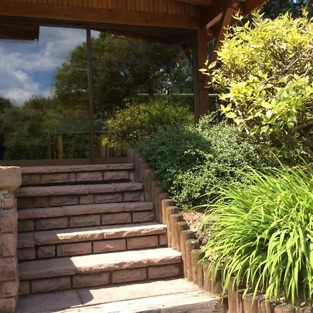 Du Cerf Dans Un Cadre De Verdure Vila