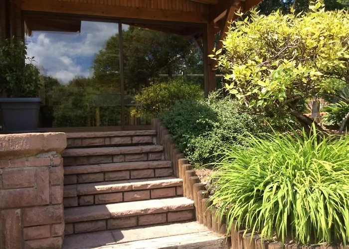 Du Cerf Dans Un Cadre De Verdure Vila