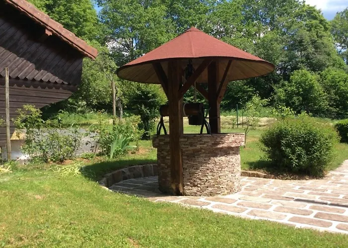 Du Cerf Dans Un Cadre De Verdure