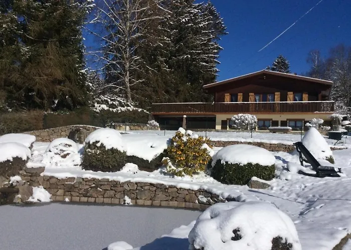 Du Cerf Dans Un Cadre De Verdure *